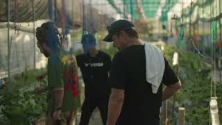 Strain Hunters: Thailand Expedition 2024 - Teaser 04