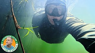Adventures Underwater in Brazil - Rios Tapajos Part 1