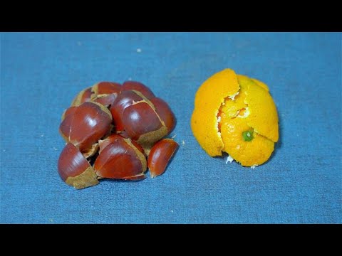 板栗壳和橘皮用红糖水煮一煮作用真厉害 试3天真管用 老中医方法