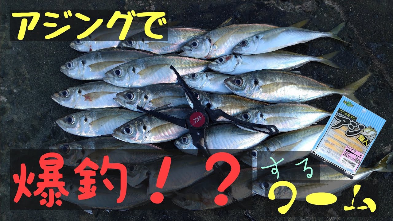 アジング 爆釣ワーム エコギアあじ職人アジマスト Youtube