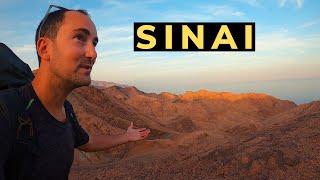 Egypt's Sinai Peninsula 🇪🇬