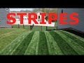 STRIPE a LAWN