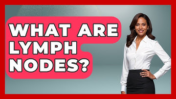 What Are Lymph Nodes? - The Operating Table