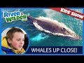 Kids see humpback whales beside the boat