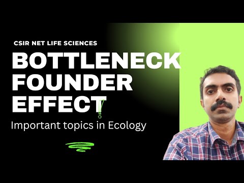 BOTTLENECK EFFECT AND