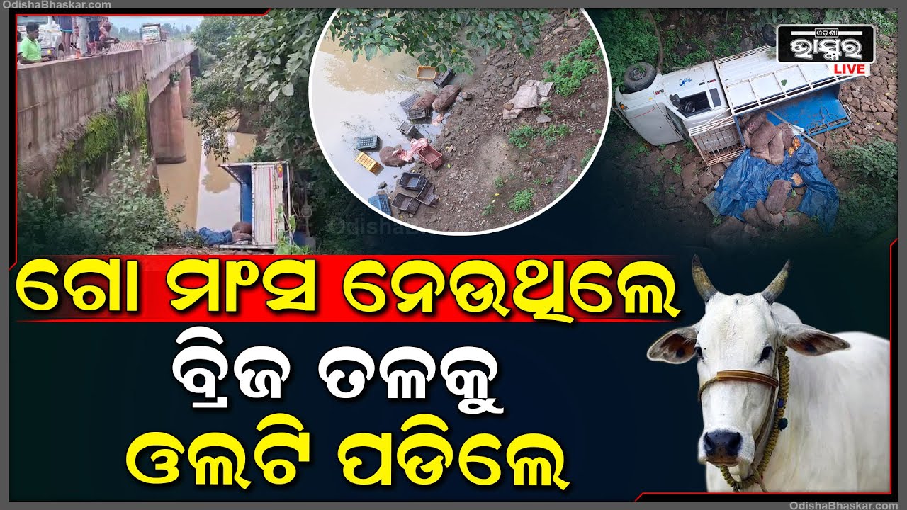 ଲୁଚେଇ ଲୁଚେଇ ନେଉଥିଲେ ଗୋ ମାଂସ, ହଠାତ୍ ହରାଇଲେ ଭାରସାମ୍ୟ ଆଉ ବ୍ରିଜ୍ ତଳକୁ ଖସିଗଲା ଗାଡି ଆଉ ତା'ପରେ...