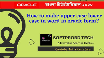 How to make upper case lower case in word in oracle form?