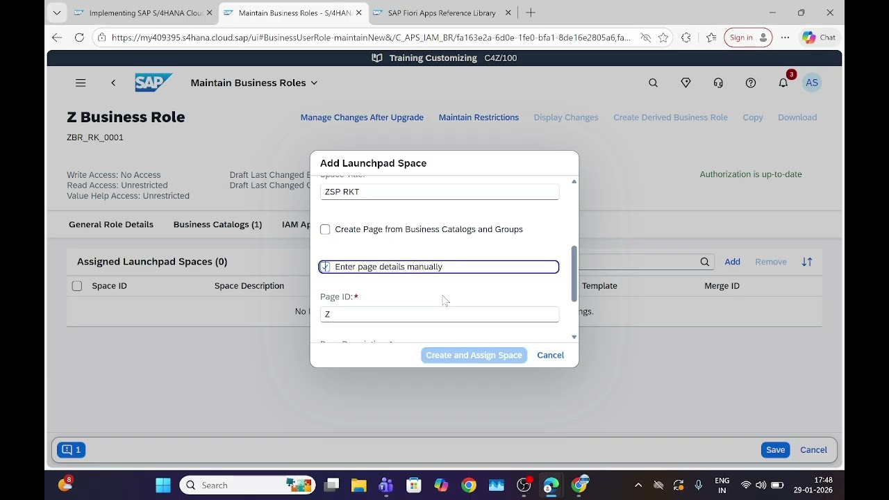 CREATE CUSTOM BUSINESS ROLE WITH RESTRICTIONS