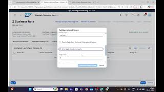 CREATE CUSTOM BUSINESS ROLE WITH RESTRICTIONS