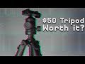 The Best Budget Tripod I've Ever Broken - Dolica GX600B200 Proline Tripod Review