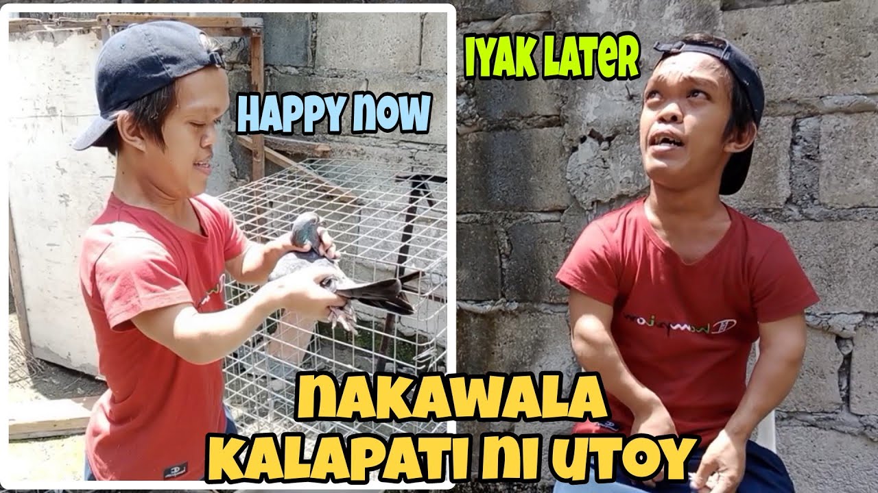 KAWAWA NAMAN  NAKA WALA ANG PABURITO NYANG KALAPATI