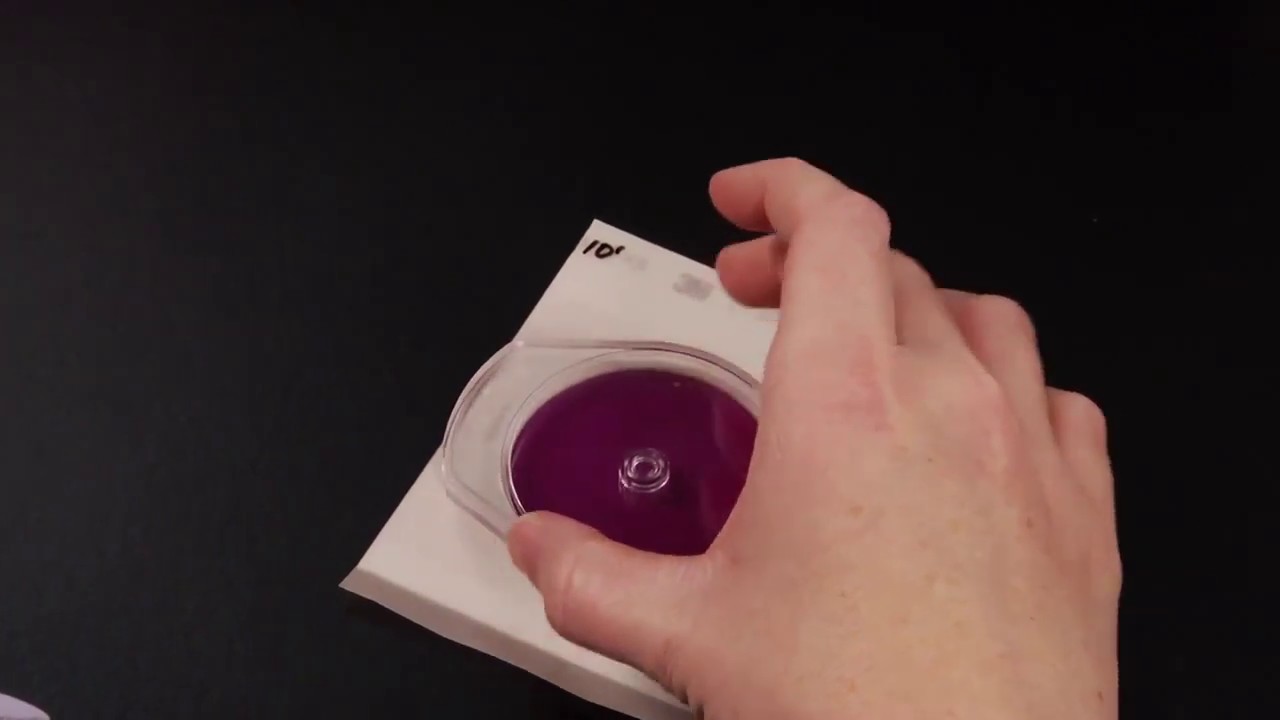 3M Petrifilm Enterobacteriaceae Count Plate YouTube