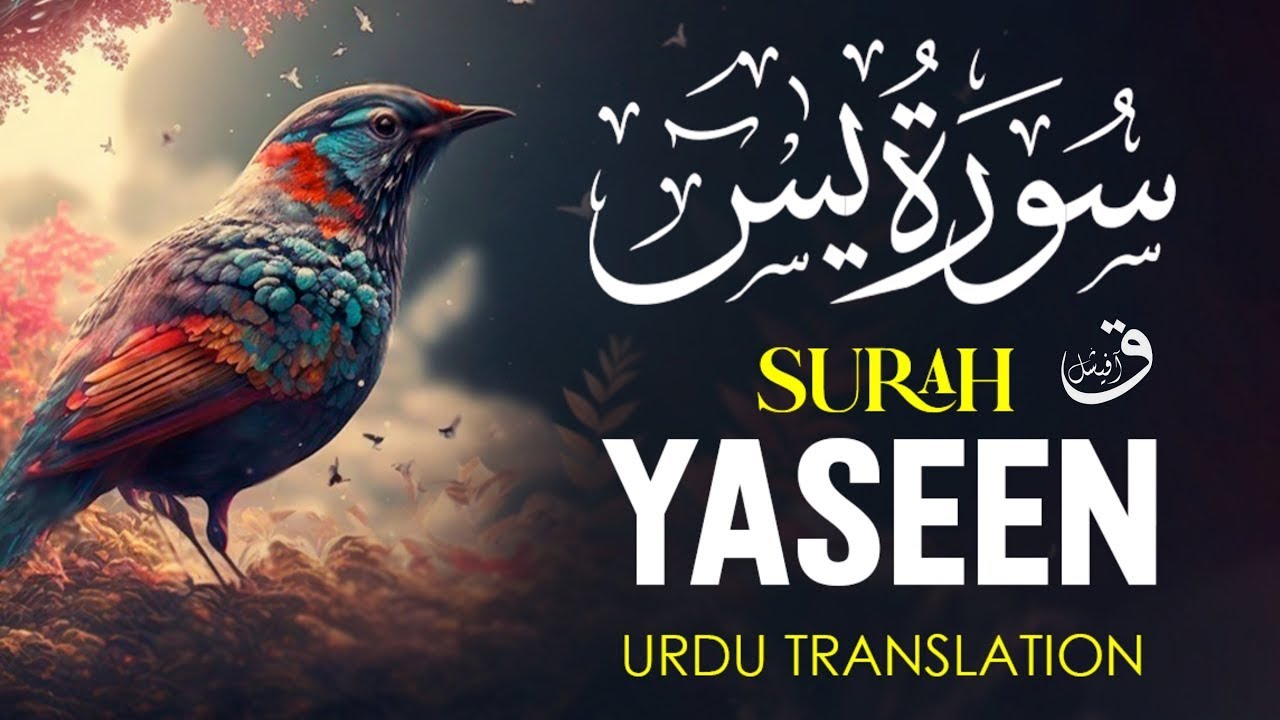 Surah Yasin (Yaseen) with Urdu Translation Quran Tilawat Beautiful ...