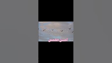 القارئ عاصم سليم يواصل ترتيل سورة يوسف عليه السلام إبداع وتميز