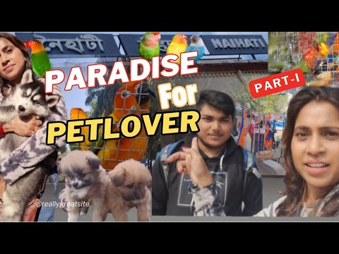 Big Pet Market in Kolkata at Naihati. Paradise Of Pet Lovers.Part -1 #petmarket #doglove