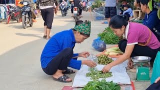 FULL VIDEO: 15 days of harvesting canarium fruit, selling figs at the market, gardening, farm life