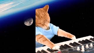 Keyboard Cat Unreleased Rehearsal!