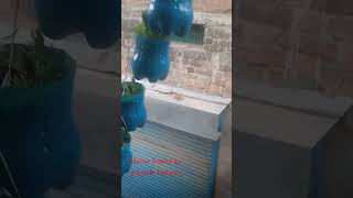 #viral #plants #trending #garden #vlog #gardning # ytshort#shortfeed # bottel ke gamale