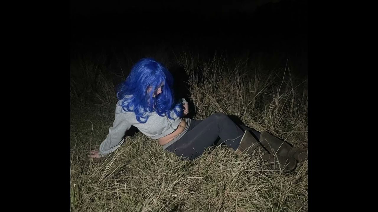 dom corleo + 2013 asap rocky sample type beat - hones plan