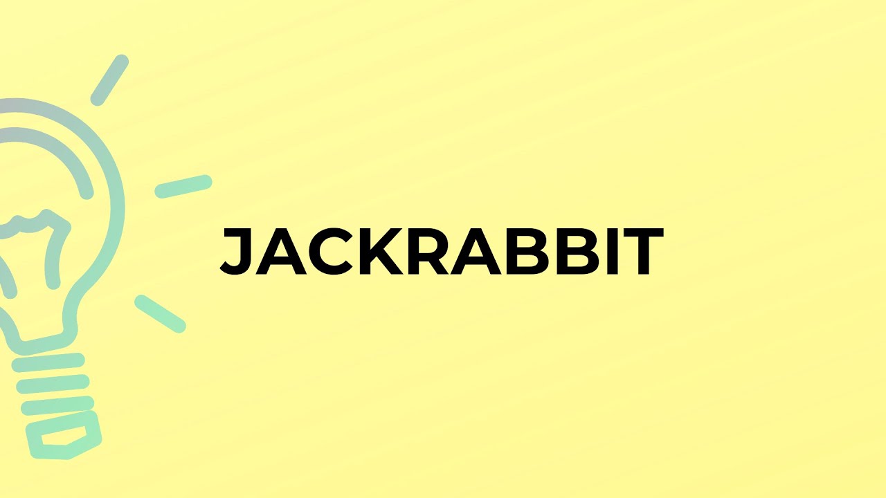 What is the meaning of the word JACKRABBIT?