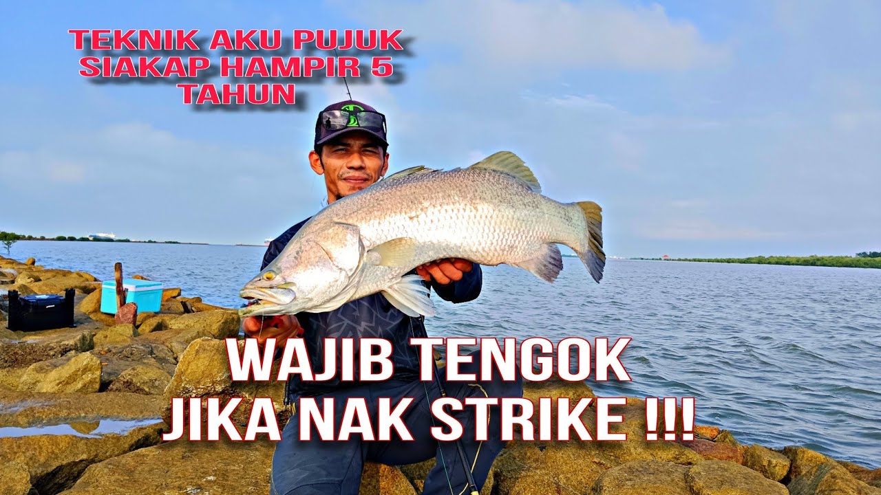 🔴INI LAH TEKNIK RAHSIA AKU MEMBURU SIAKAP LIAR‼️#4GCASTER#337#FIXORY#OZMY#STRIKEBRO