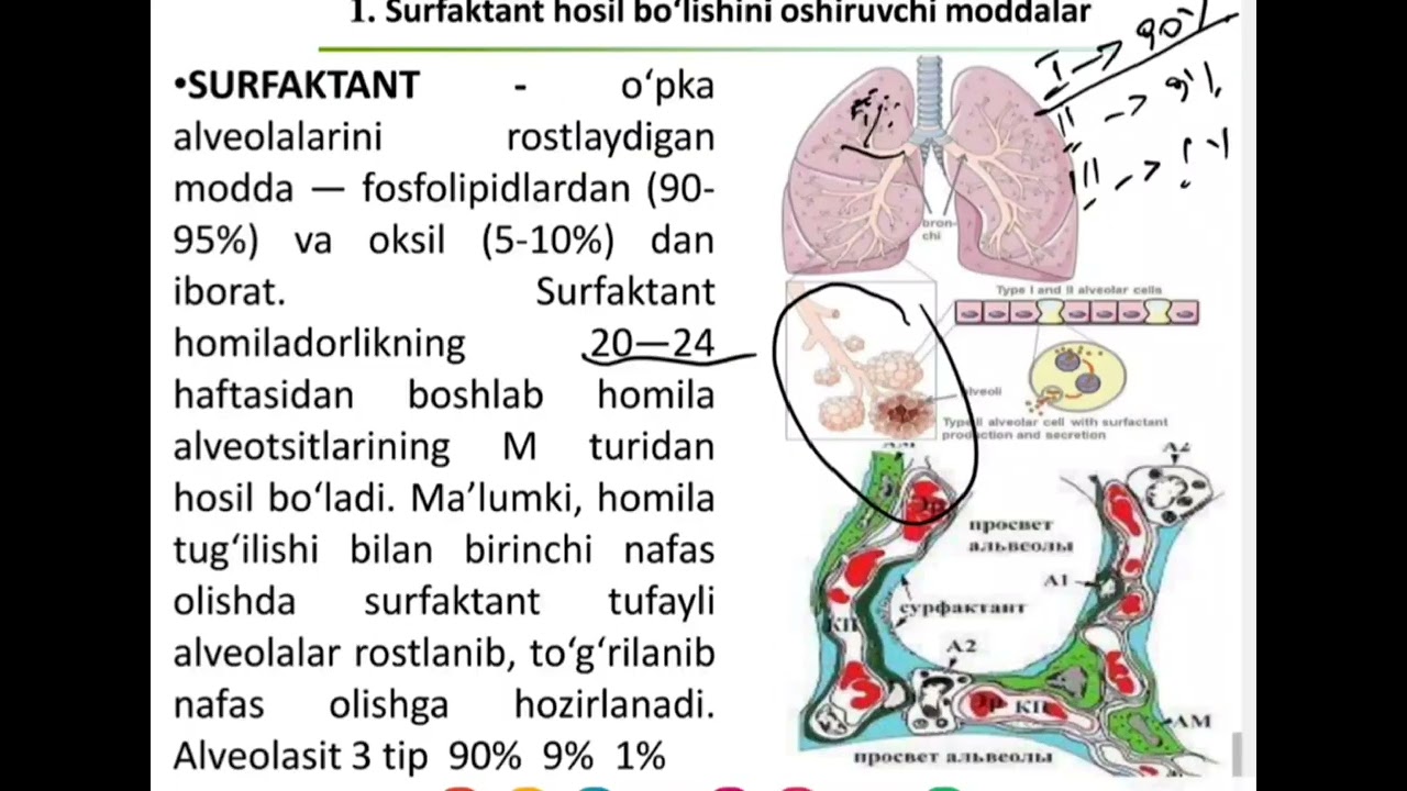 1-mavzu: NAFAS OLISH SISTEMASI TA'SIR QILUVCHI DORI VOSITALAR.