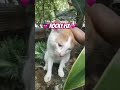 🫶 my babies #ytshorts #hollywood #aesthetic #girlhood #cat #vintage #memories #trending #genz #ig
