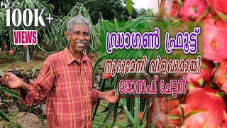 മികച്ച  വരുമാനം നേടാം ഡ്രാഗൺ ഫ്രൂട്ട് കൃഷിയിലൂടെ... | Dragon fruit cultivation in kerala | Vlog#49