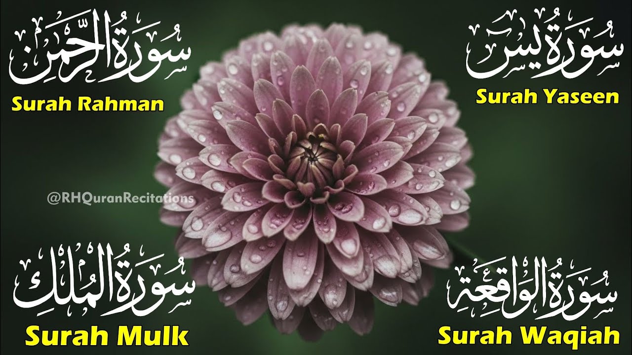 Beautiful Surah Yaseen (Yasin) | Surah Rahman | Surah Waqiah | Surah Mulk | Episode 49