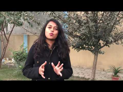 Marché Éthique Y Combinator Application Video