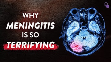 Meningitis is Terrifying
