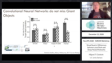 Visual Search: Differences between your Brain and Deep Neural Networks