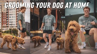 What They Won’t Tell You About Grooming Your Goldendoodle by Gabe Bollinger 89,857 views 1 year ago 9 minutes, 10 seconds