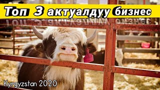 Топ 3 Кыргызстан үчүн бизнес идеялар. Актуалдуу бизнес 2020 жыл.