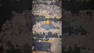 مؤثر فلسطين القدس لكل مشتاق موطني! ?