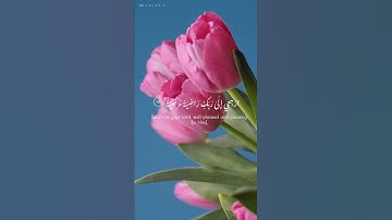 سورة الفجر ٢٤-٣٠ - ياسر الدوسري