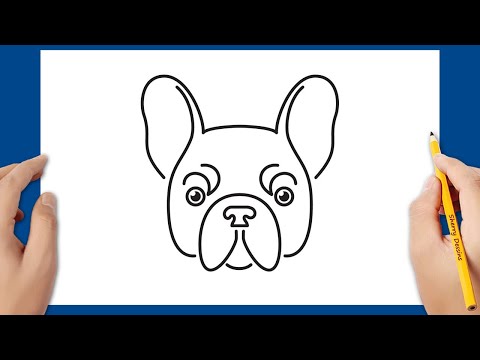 Vidéo: Comment Dessiner Un Bouledogue