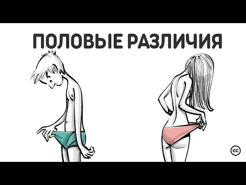 Половые Различия