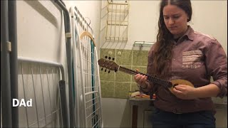 Tuning baglamas higher Douzeni compilation with capo