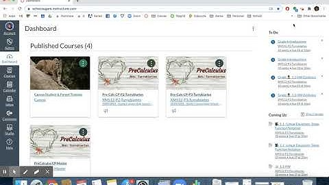 Students Authorize Google in Canvas