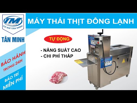 MÁY THÁI THỊT ĐÔNG LẠNH TỰ ĐỘNG