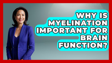 Why Is Myelination Important For Brain Function? - Brain Development Hub
