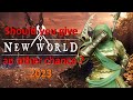 Should you give an other chance to New World in 2023