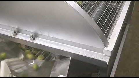 Lemon Grading machine by sujay idustries peenya Bengaluru