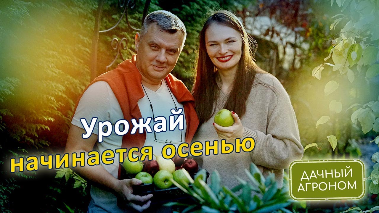 ОСЕНЬЮ Одна ложка под куст Две под дерево и Сад будет ломиться от ...