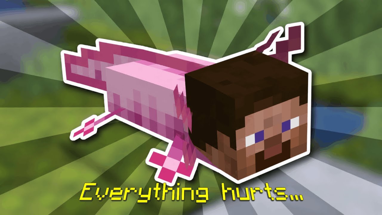 Minecraft but Chat Morphs Me