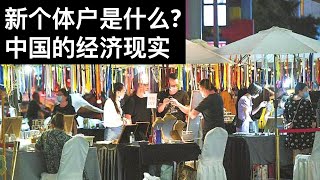 新个体户是什么? 中国的经济现实/湖畔大学与中国民办教育的前景(字幕)/王剑每日观察/20210517