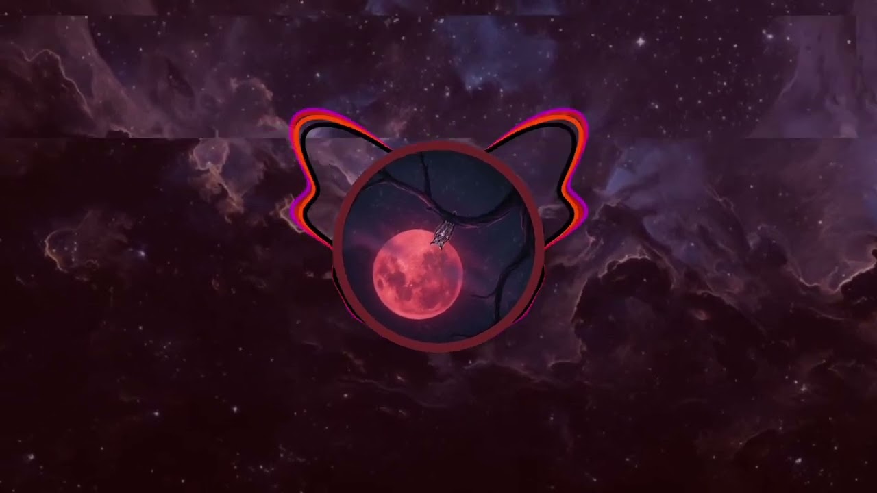 Owl of the night | Auny