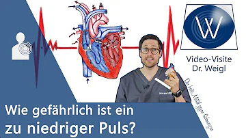 Ist es gut einen niedrigen Ruhepuls zu haben?