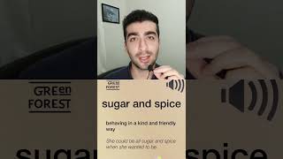 Daily Words pt.1 | Sugar and spice معنی